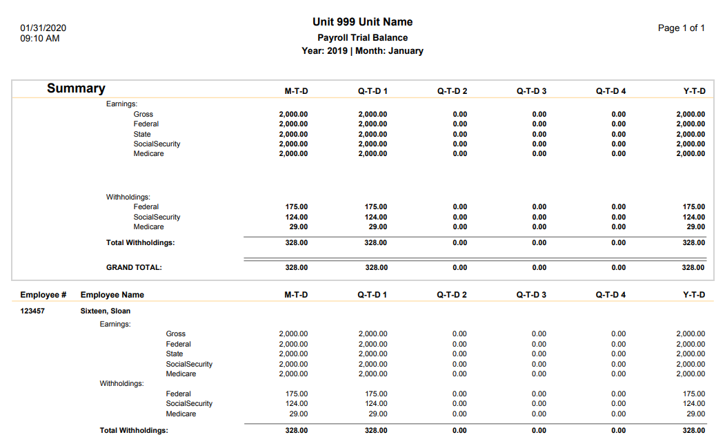 sample trial balance report